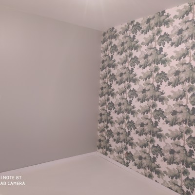 Papier Peint et revêtement muraux 2