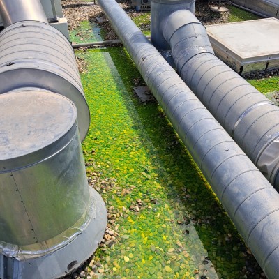 Dernière réalisation SET AZUR