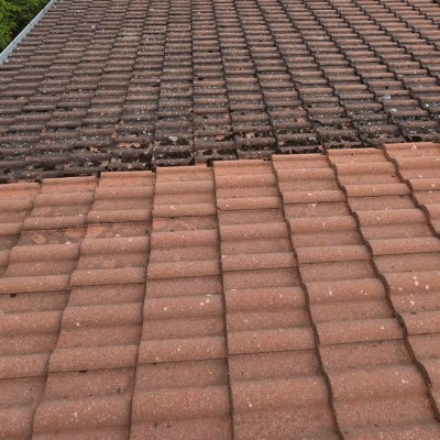 Toiture & Couverture 1