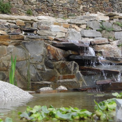 Dernière réalisation SARL Au jardin Raisonné