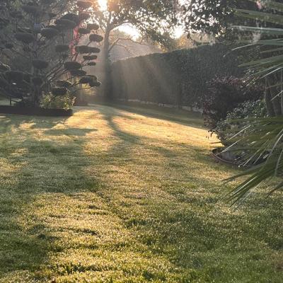 Dernière réalisation Ambiances nature