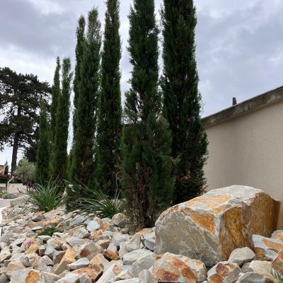 Dernière réalisation Ambiances nature