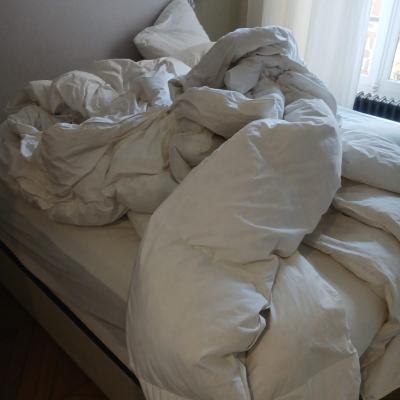 Dernière réalisation SMY TANIA PROPRE SERVICE