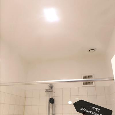 Dernière réalisation Janin Philippe MALIX-ARTS