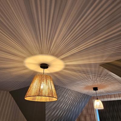 pose de luminaires 2