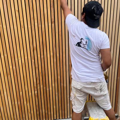 Dernière réalisation Nicolas CLAUDE PEINTURE