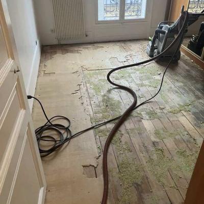 poncage parquet vitrification francois 1