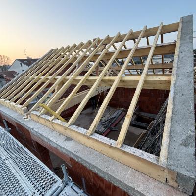 Charpente traditionnel de trois pavillons neuf à Fontenay sous bois 5