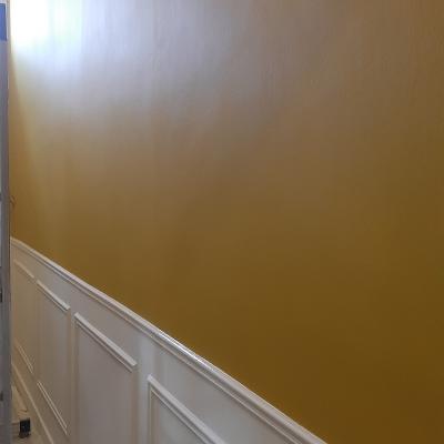 Dans une entée,pose de baguettes,pose de toile de réno puis 2 couches de peinture velours 3