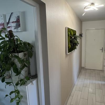 Dernière réalisation Delacourt Renov