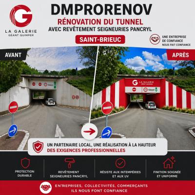 Dernière réalisation DM prorenov Peintre Saint Brieuc