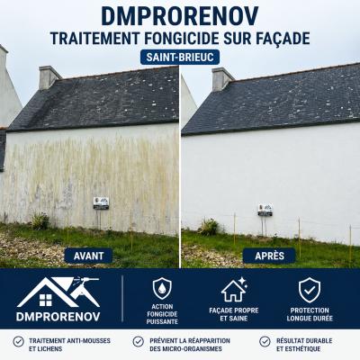 photo avant après 2