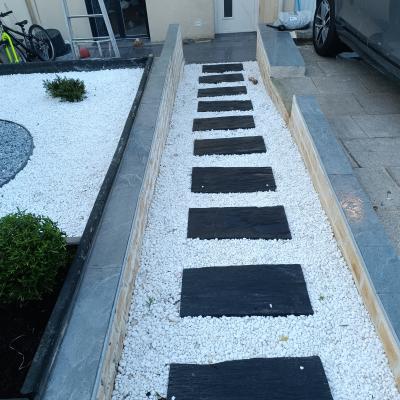 Création 1