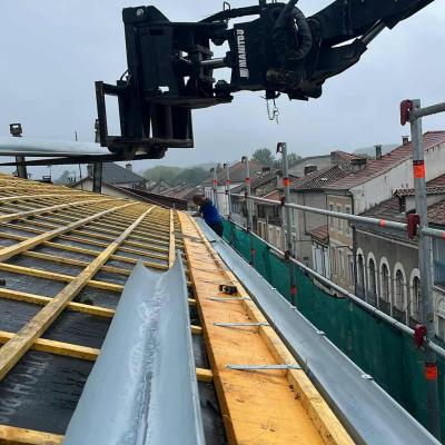 Travaux de charpente / couverture 1