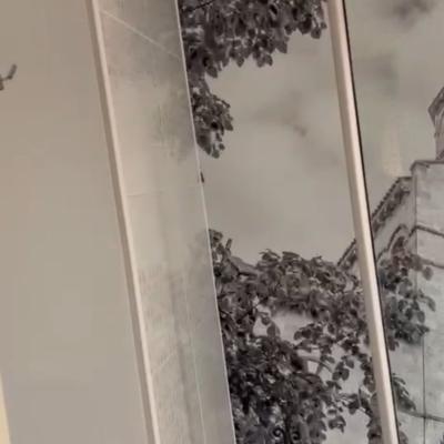 Campanile Nature - Clermont Ferrand Le Brézet 4