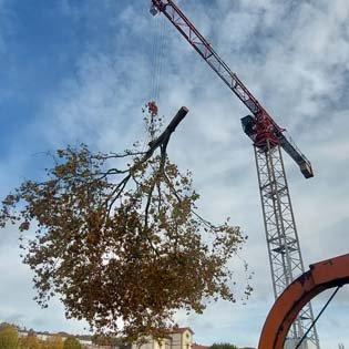 Dernière réalisation Les îles fleuries