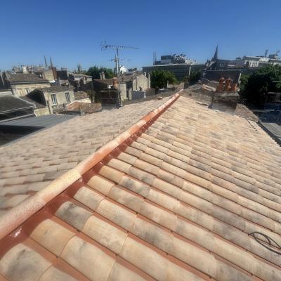 Dernière réalisation Msb couverture