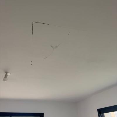 Rénovation d’un plafond (dégâts des eaux ) 1