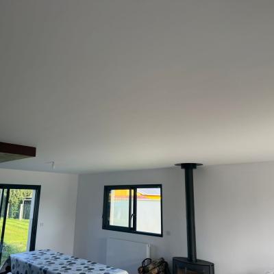 Rénovation d’un plafond (dégâts des eaux ) 5