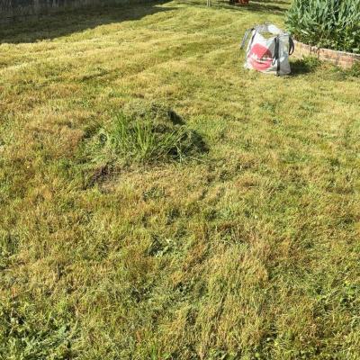 Dernière réalisation Blp95