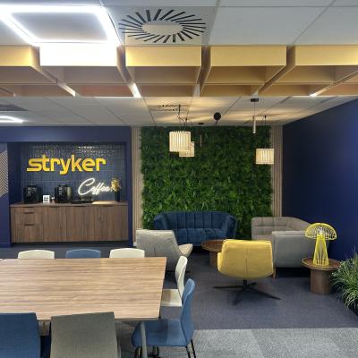 Chantier Stryker 5
