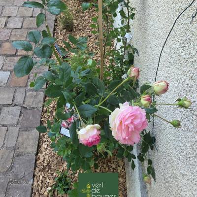 Chantier 78 4