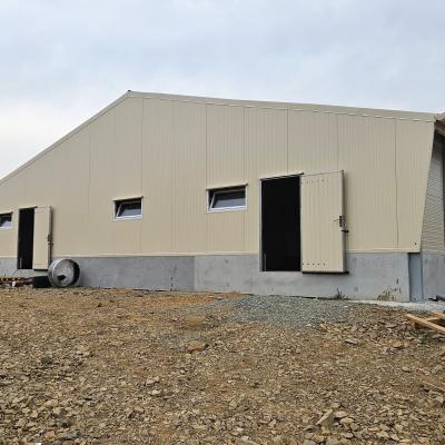 Pondeuse 1300 m2 1